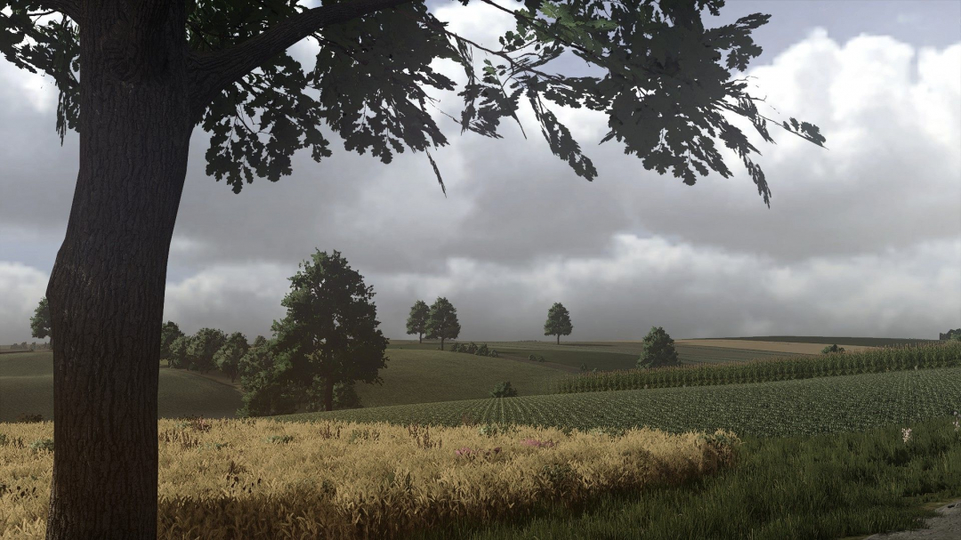 Real Sky V1.1.0.1