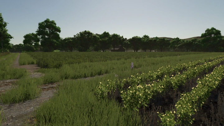 fs25-mods,  Repopulate Fields V1.0.1