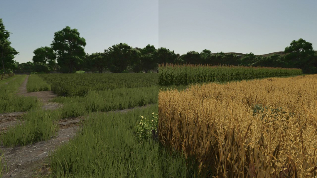 Repopulate Fields V1.0.1