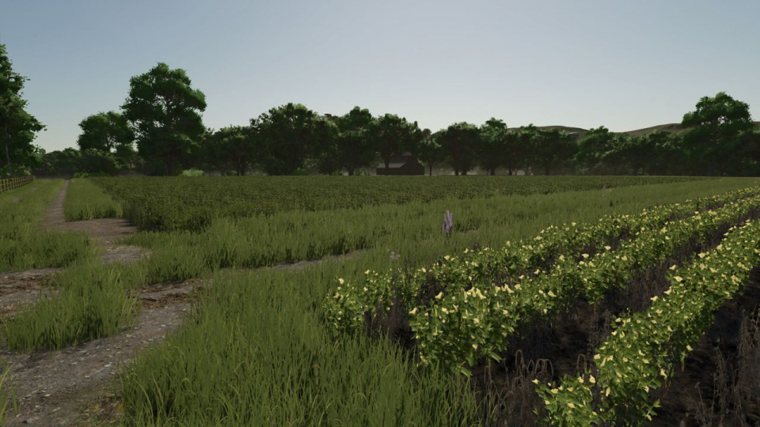 Repopulate Fields V1.0.1