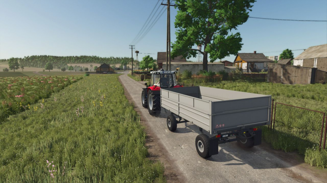 Lizard RSD4 V1.0.1
