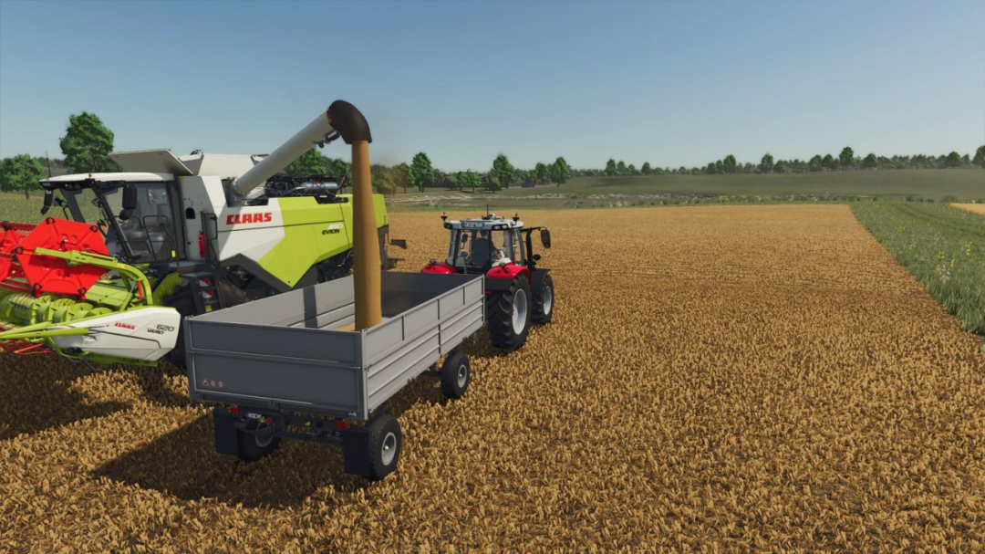 Lizard RSD4 V1.0.1