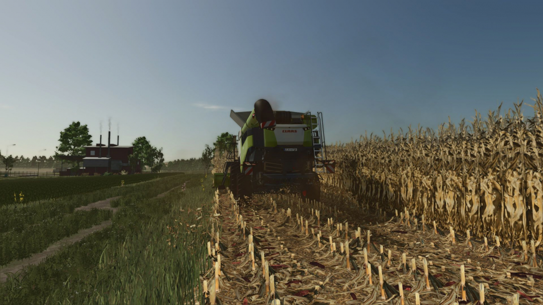 Realistic dry corn texture V1.0