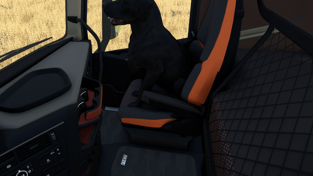 Dog Companion v1.0