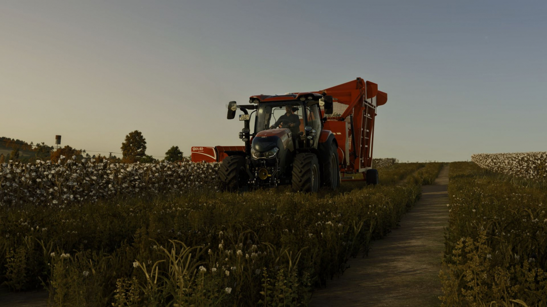Dolbi Cotton Equipment Pack V1.0