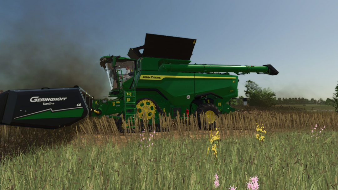 High-resolution texture of cut sunflower V1.2