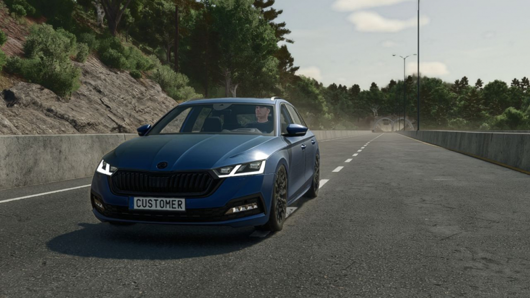 Skoda Octavia 2020 Tuning V2.2