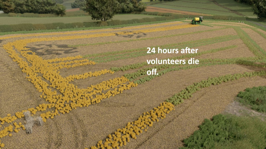 Volunteer Crops and Weeds V1.0
