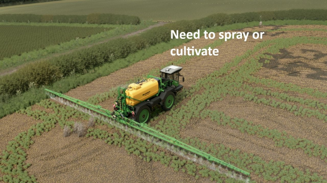 Volunteer Crops and Weeds V1.0
