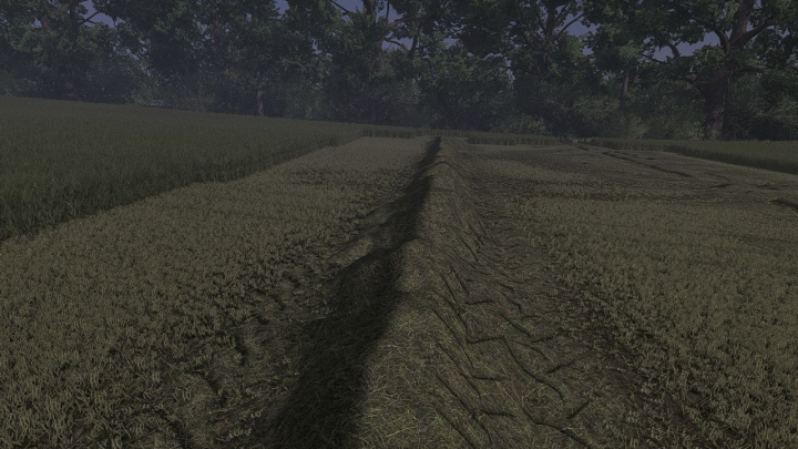fs25-mods,  Grass Texture V1.0