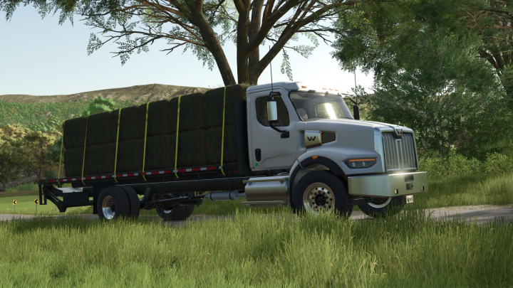 fs25-mods,  Western Star 49X Stakebed V1.2