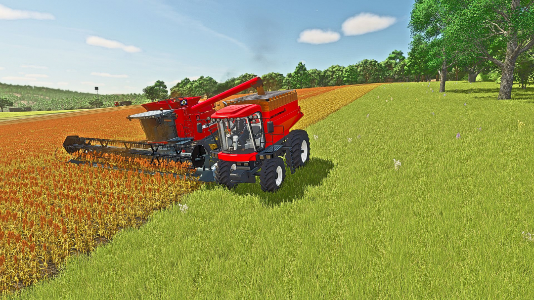 Auto Propelido TM240 V2.0.1