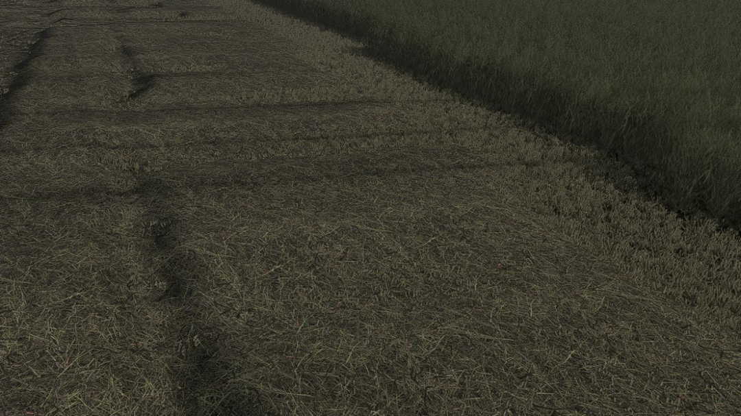 Grass Texture V1.0