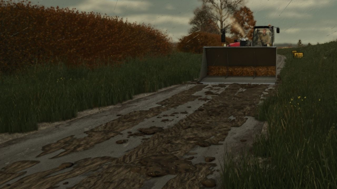 Mud on the road V1.0