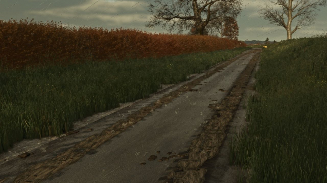 Mud on the road V1.0