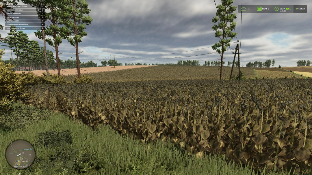 Crop Converter v1.1.1