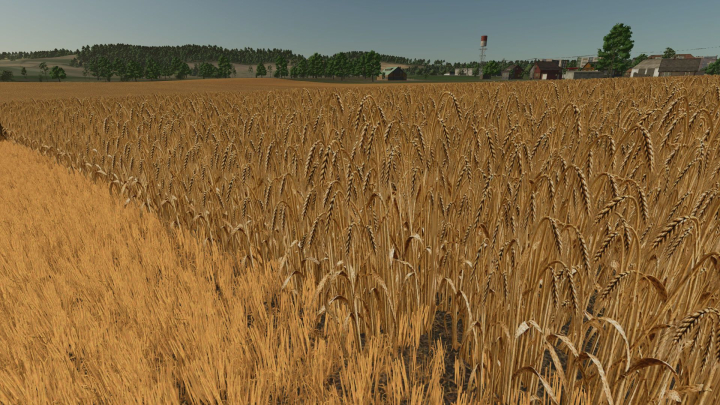 fs25-mods,  Realistic barley texture V1.0