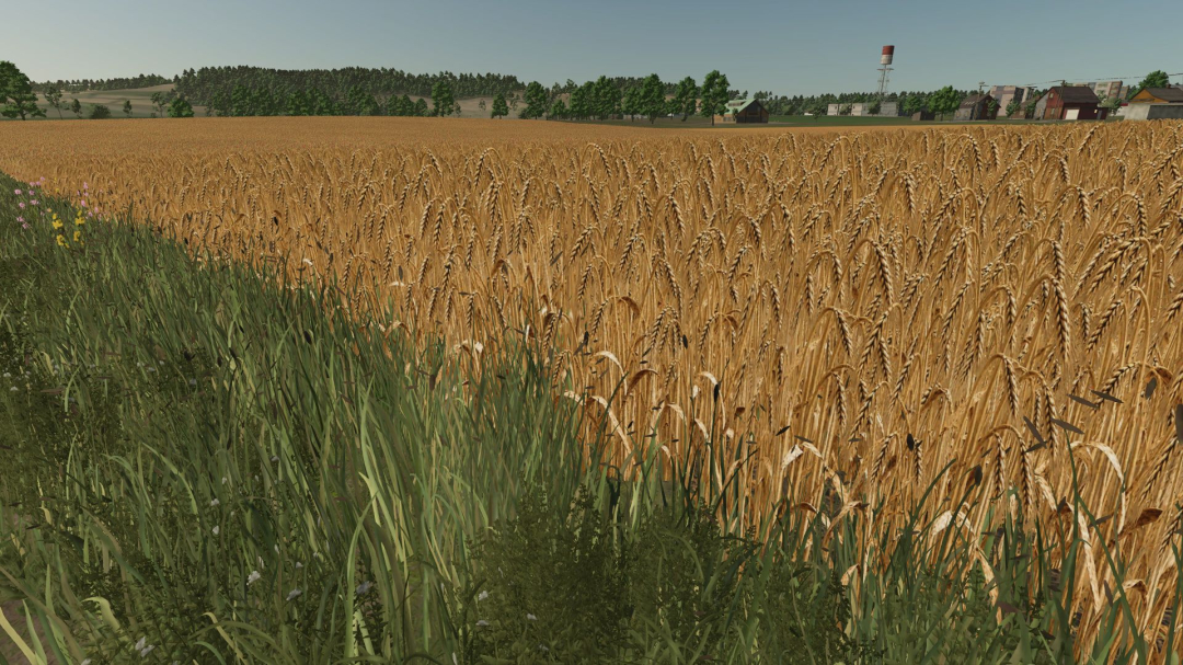 Realistic barley texture V1.0