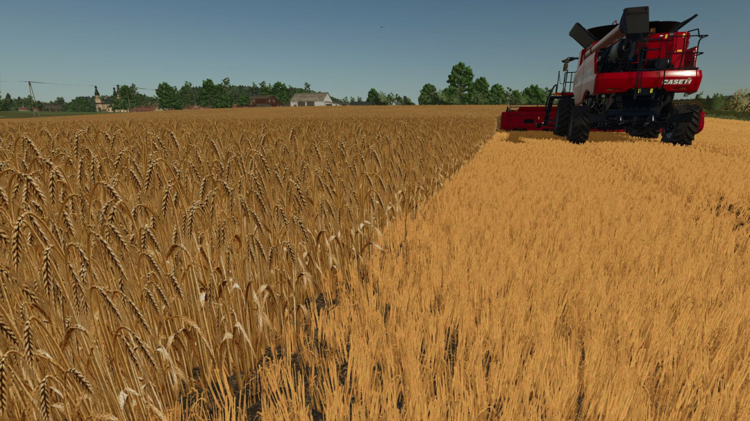 Realistic barley texture V1.0