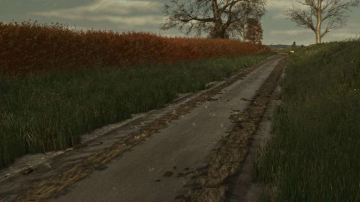 fs25-mods,  Mud on the road v2.7