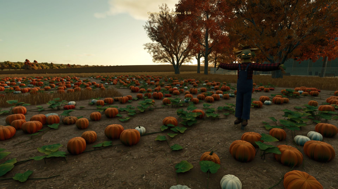 Interactive Pumpkin Patch V1.0