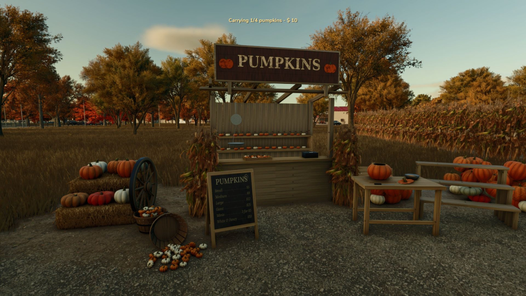 Interactive Pumpkin Patch V1.0