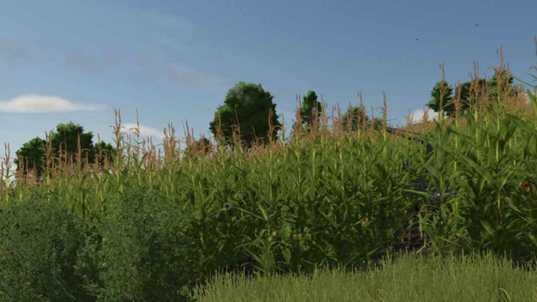 Irrigation System V1.0