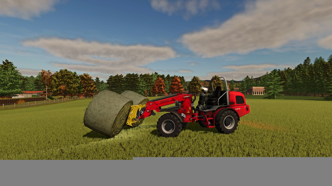 Weidemann 4270CX 100T V1.0